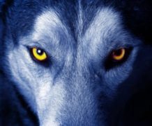 fenrir el lobo monstruoso de la leyenda nordica