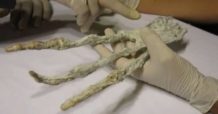 misteriosa mano extraterrestre descubierta en peru desconcierta a investigadores