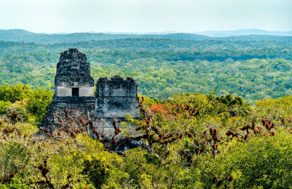 Una vista de las pirámides de Tikal. Shutterstock