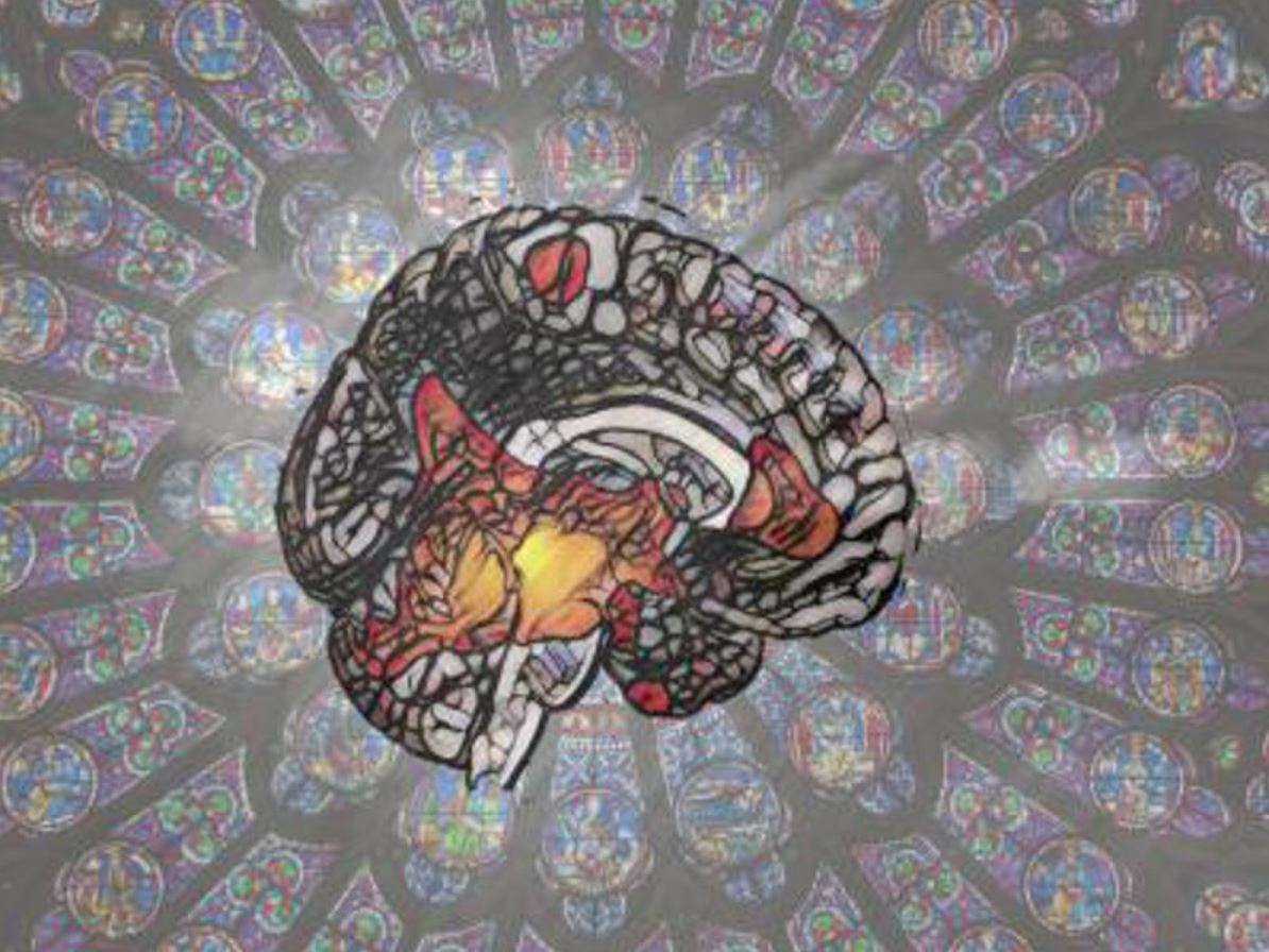 El cerebro espiritual, tal como lo visualizó el autor del estudio Michael Ferguson