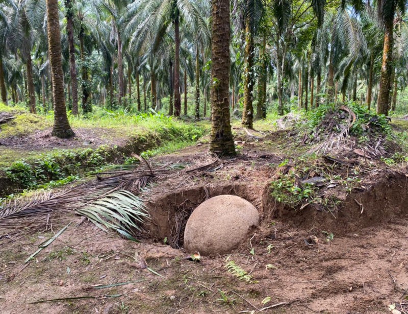 hallada esfera precolombina de piedra en costa rica restos de una civilizacion perdida