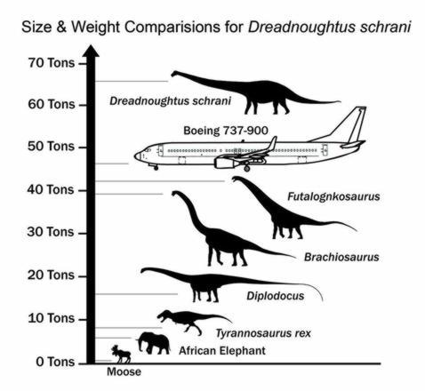 Hallan al «gigante» de la Patagonia, el dinosaurio más pesado que un Boeing 737