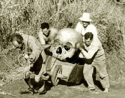 ¿Se destruyeron miles Esqueletos de Gigantes en el 1900?