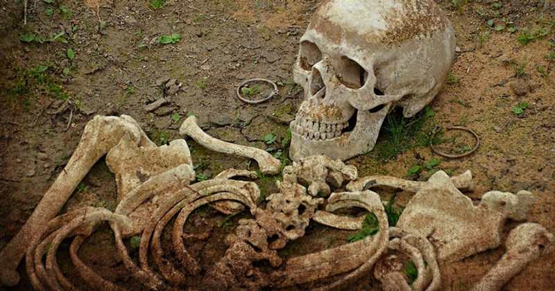 ¿Se destruyeron miles Esqueletos de Gigantes en el 1900?