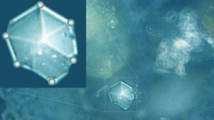 cristales nunca antes vistos son encontrados en polvo de meteorito
