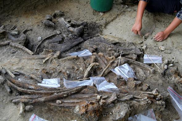 descubiertas las herramientas con mas de 700 000 anos de antiguedad de una misteriosa especie