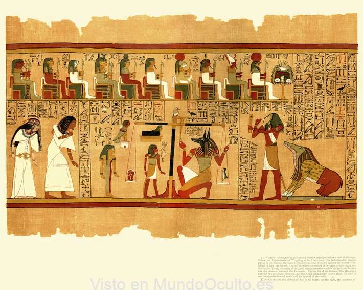 encuentran en saqqara un libro de los muertos en un papiro de 15 metros de largo por primera vez en 100 anos