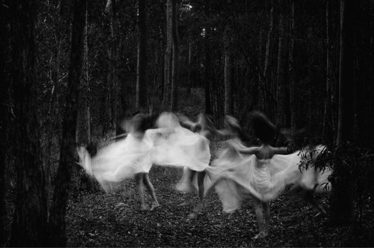"Brujas en el bosque"